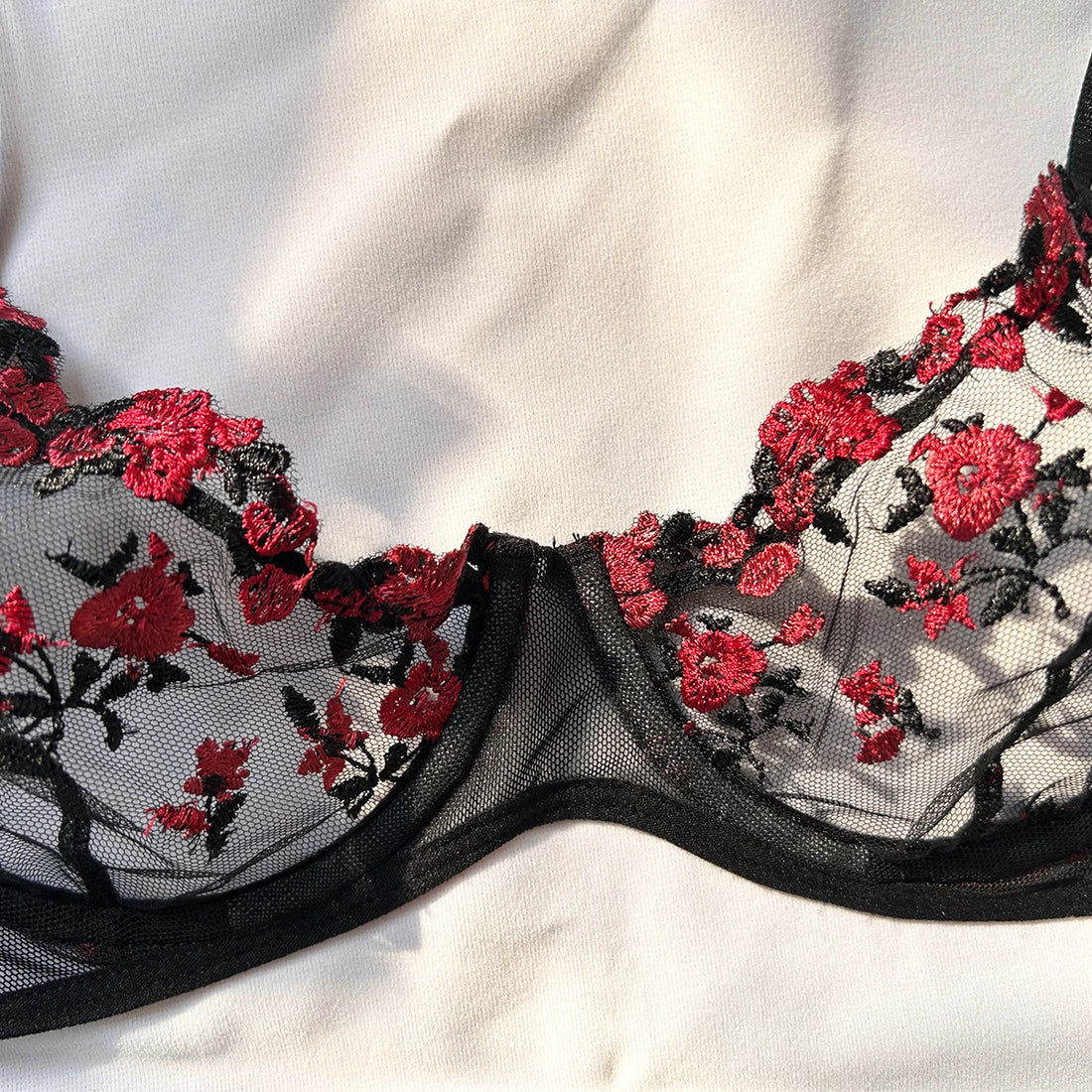 Sexy Embroidered Bra Set