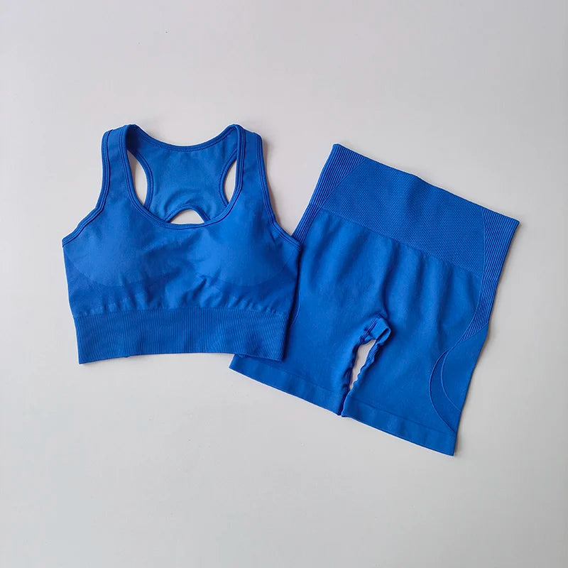 Seamless Women Yoga Set