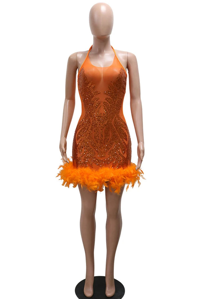 Glam Mesh Sequin Feather Party Dress