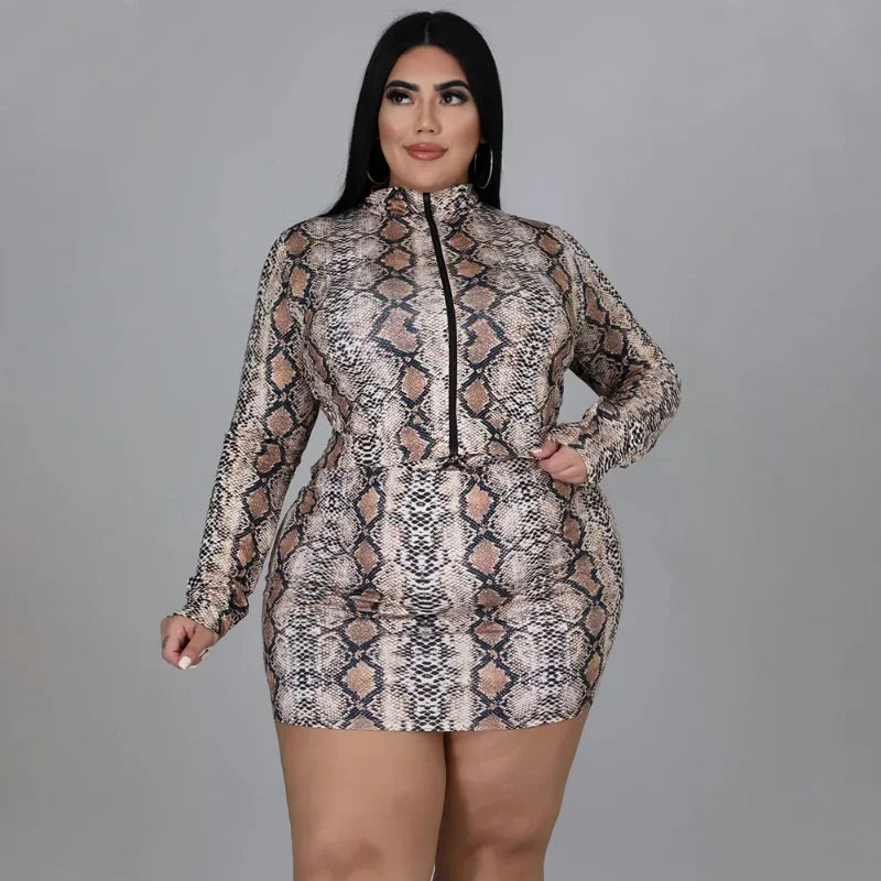 Leopard Print Plus Size 2-Piece Set