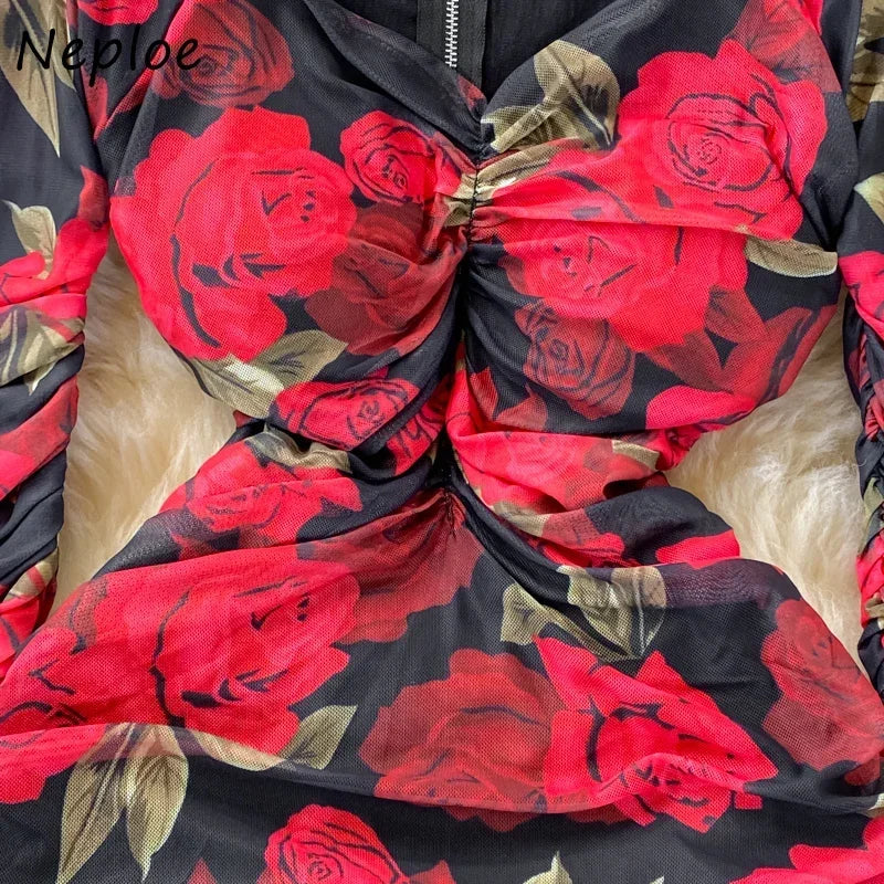 Rose Printed Pleated Dress